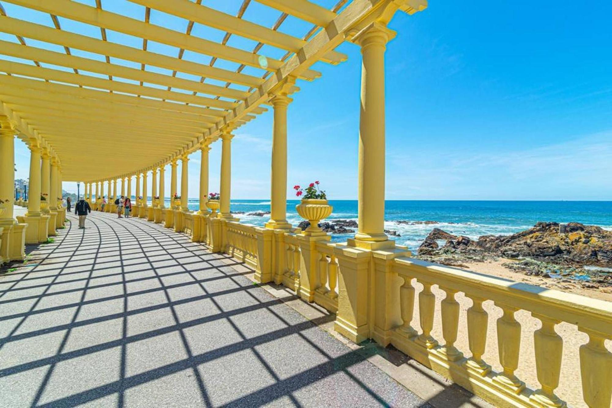 Bombarda Apartments VI By Innkeeper Porto Kültér fotó